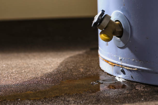 Best Commercial water damage restoration  in Paola, KS