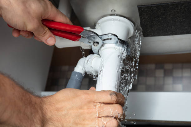 Best 24/7 water damage repair  in Paola, KS