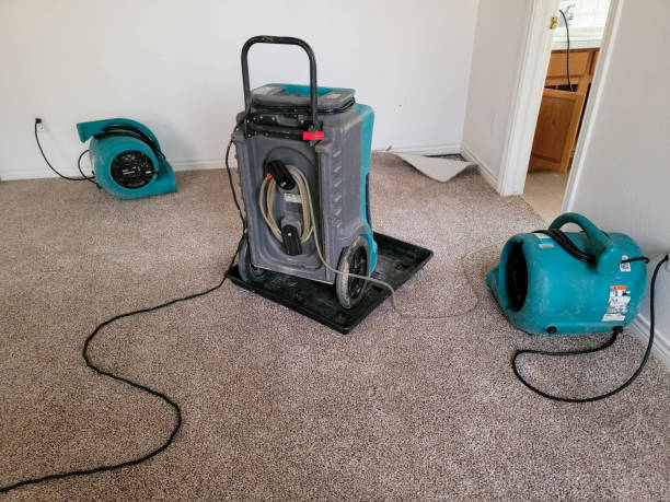 Best Water damage restoration services  in Paola, KS