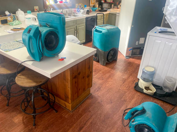 Best Water damage restoration near me  in Paola, KS