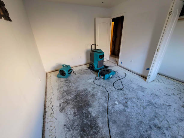 Best Water damage restoration experts  in Paola, KS