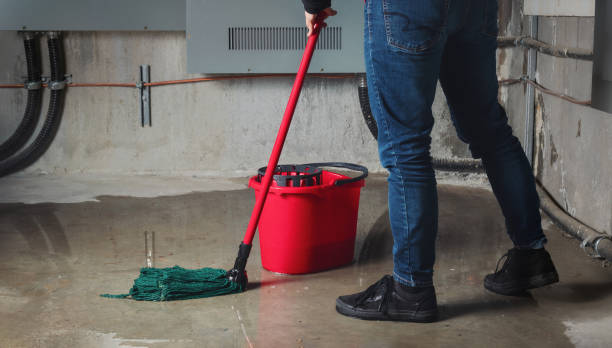 Best 24-hour water damage restoration  in Paola, KS