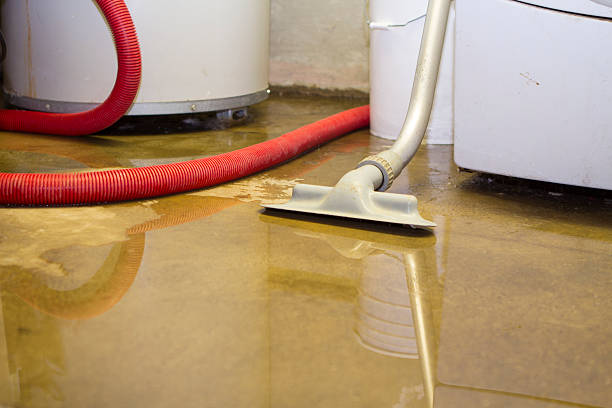 Best Carpet water damage restoration  in Paola, KS