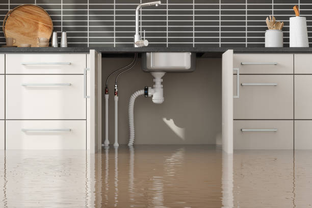 Best Water damage restoration process  in Paola, KS
